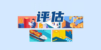 数据评估